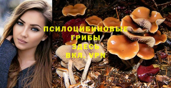 бошки Новодвинск