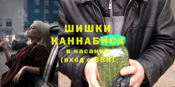 бошки Новодвинск